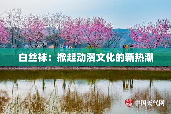 白丝袜：掀起动漫文化的新热潮