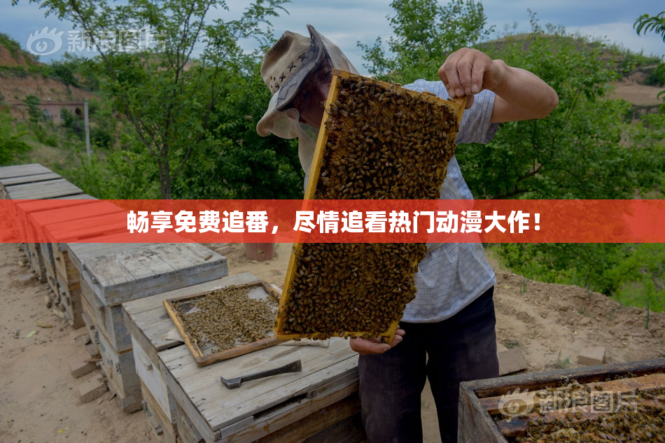 畅享免费追番，尽情追看热门动漫大作！