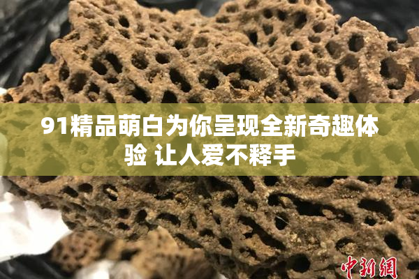 91精品萌白为你呈现全新奇趣体验 让人爱不释手