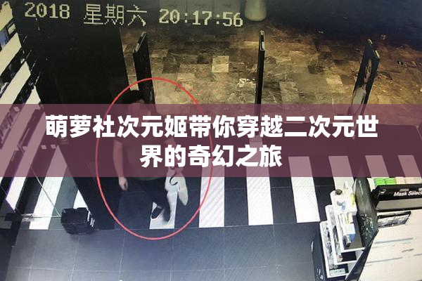 萌萝社次元姬带你穿越二次元世界的奇幻之旅