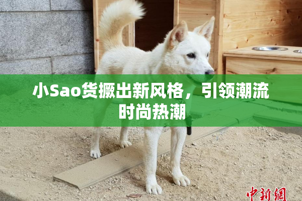 小Sao货撅出新风格，引领潮流时尚热潮