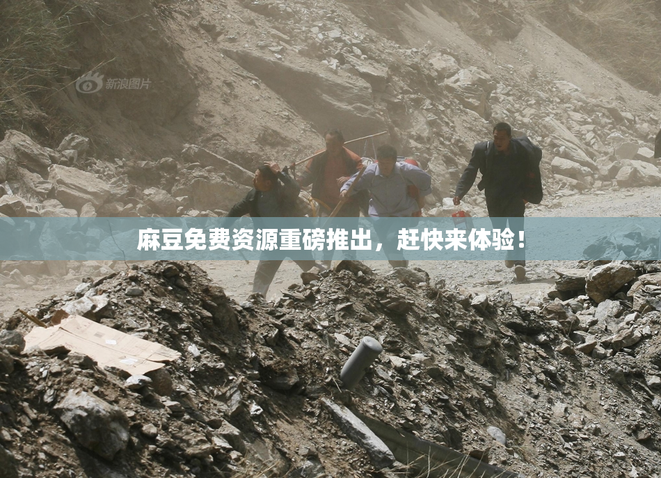 麻豆免费资源重磅推出，赶快来体验！