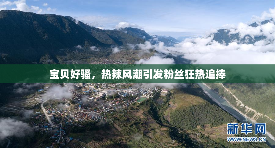 宝贝好骚，热辣风潮引发粉丝狂热追捧