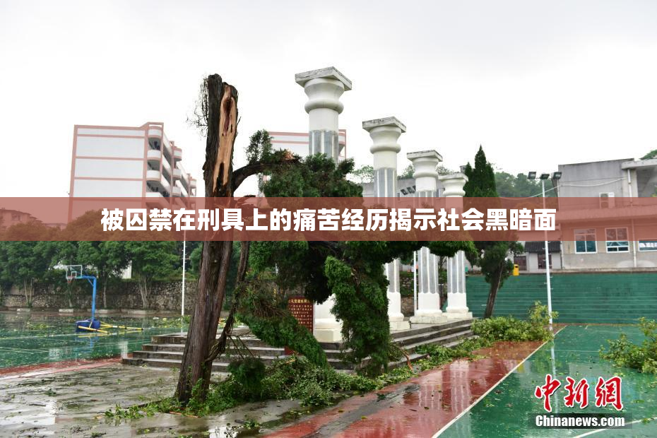 被囚禁在刑具上的痛苦经历揭示社会黑暗面
