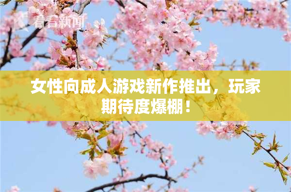 女性向成人游戏新作推出，玩家期待度爆棚！