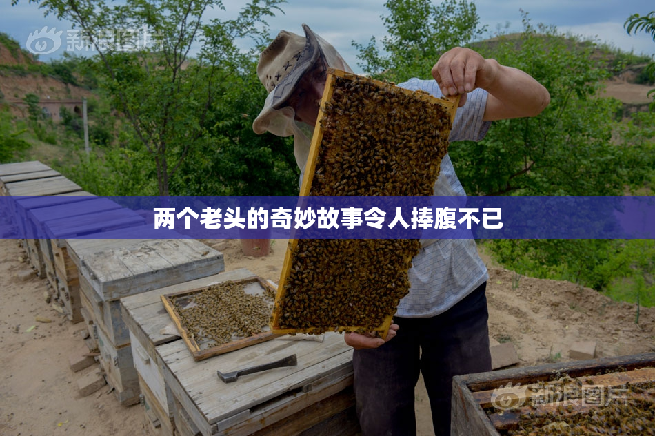 两个老头的奇妙故事令人捧腹不已