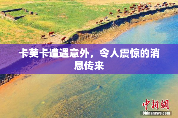 卡芙卡遭遇意外，令人震惊的消息传来