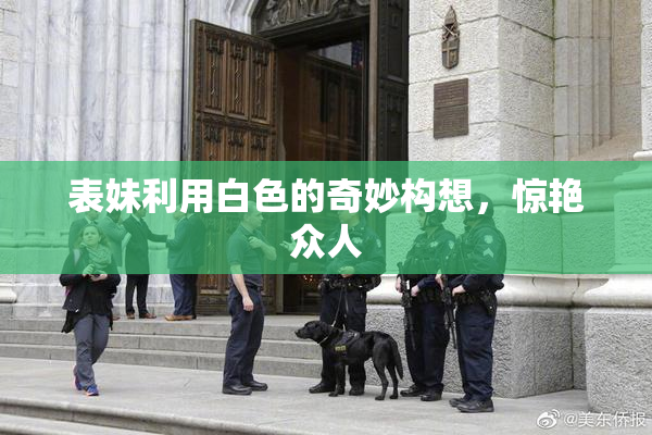 表妹利用白色的奇妙构想，惊艳众人