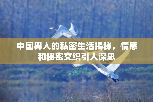 中国男人的私密生活揭秘，情感和秘密交织引人深思