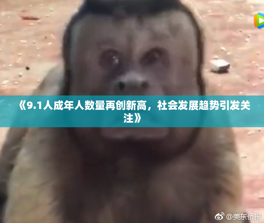 《9.1人成年人数量再创新高，社会发展趋势引发关注》