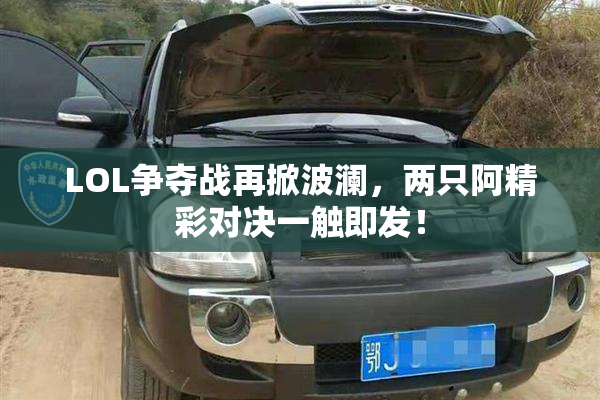 LOL争夺战再掀波澜，两只阿精彩对决一触即发！