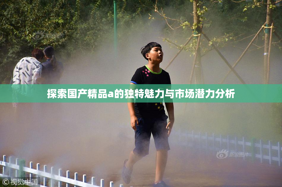 探索国产精品a的独特魅力与市场潜力分析