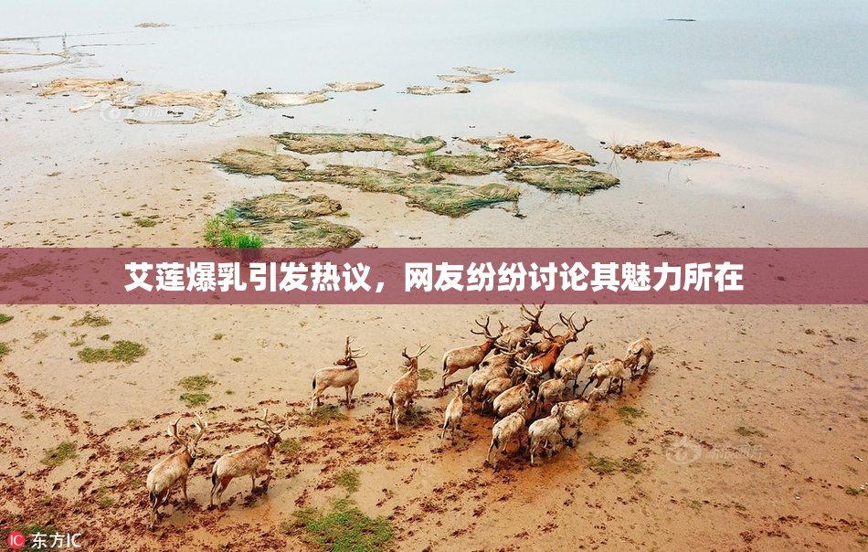 艾莲爆乳引发热议，网友纷纷讨论其魅力所在