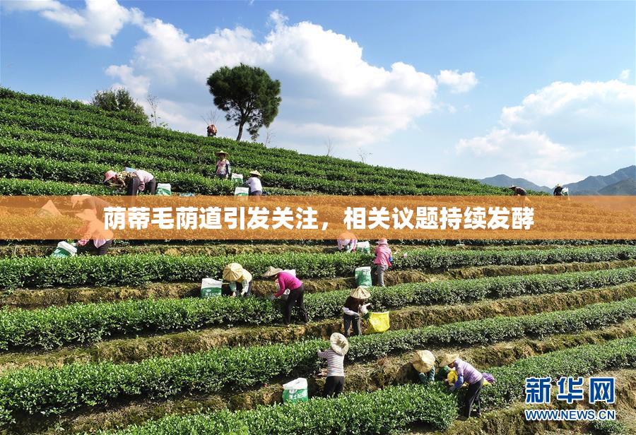 荫蒂毛荫道引发关注，相关议题持续发酵
