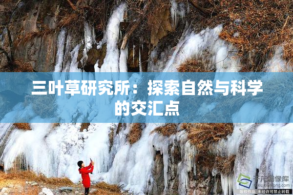 三叶草研究所：探索自然与科学的交汇点