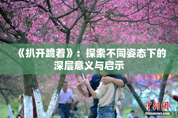 《扒开跪着》：探索不同姿态下的深层意义与启示