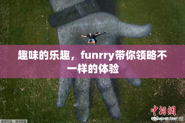 趣味的乐趣，funrry带你领略不一样的体验