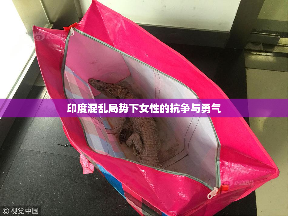 印度混乱局势下女性的抗争与勇气