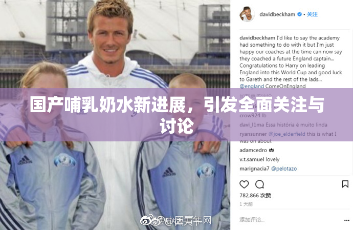 国产哺乳奶水新进展，引发全面关注与讨论
