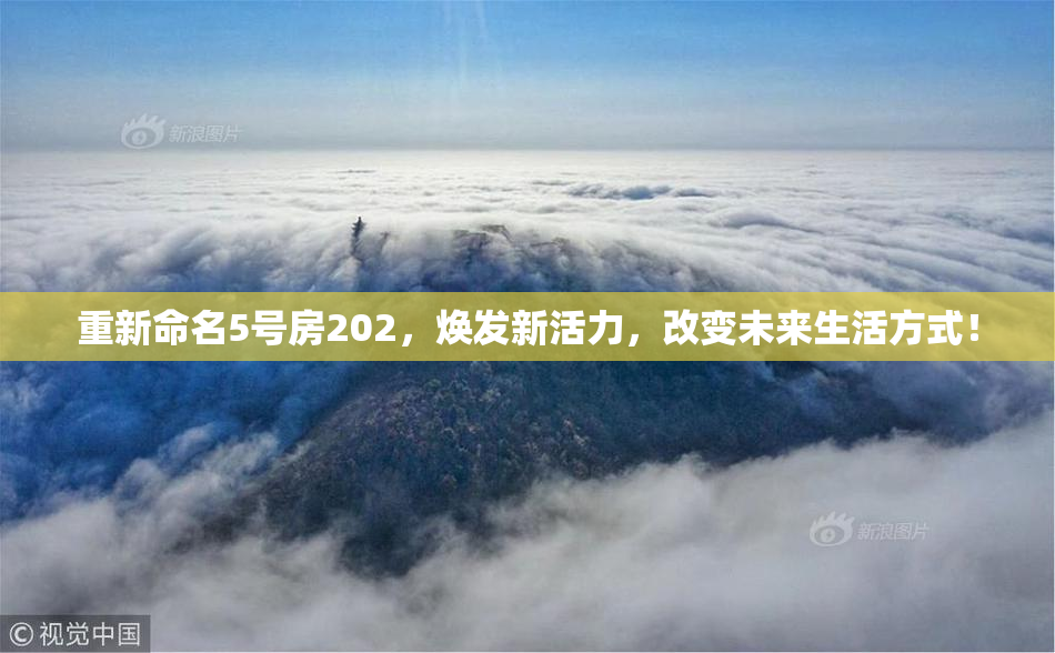 重新命名5号房202，焕发新活力，改变未来生活方式！