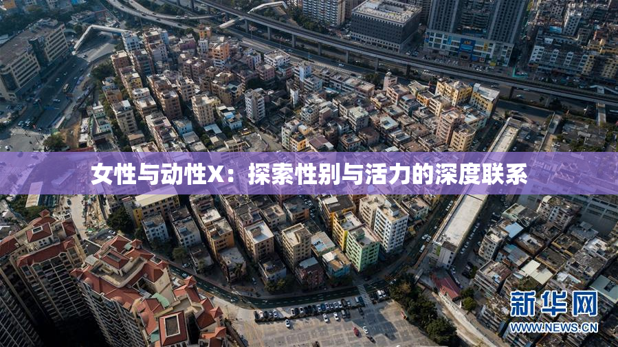 女性与动性X：探索性别与活力的深度联系