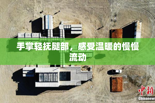 手掌轻抚腿部，感受温暖的慢慢流动