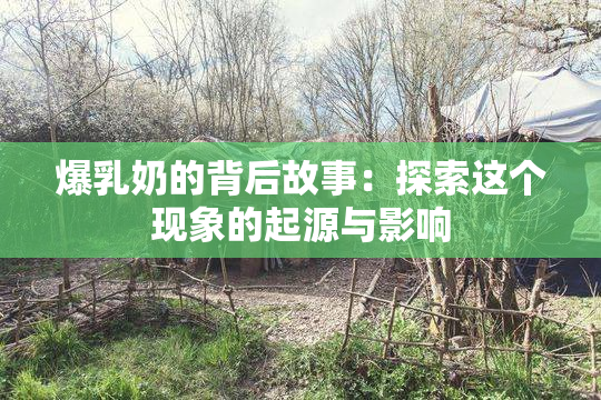 爆乳奶的背后故事：探索这个现象的起源与影响