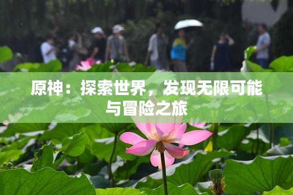 原神：探索世界，发现无限可能与冒险之旅