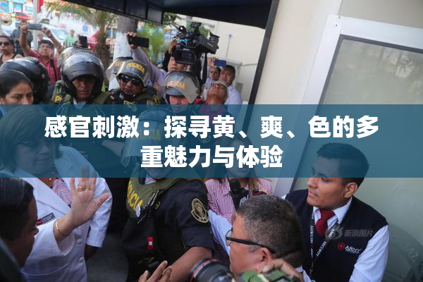 感官刺激：探寻黄、爽、色的多重魅力与体验