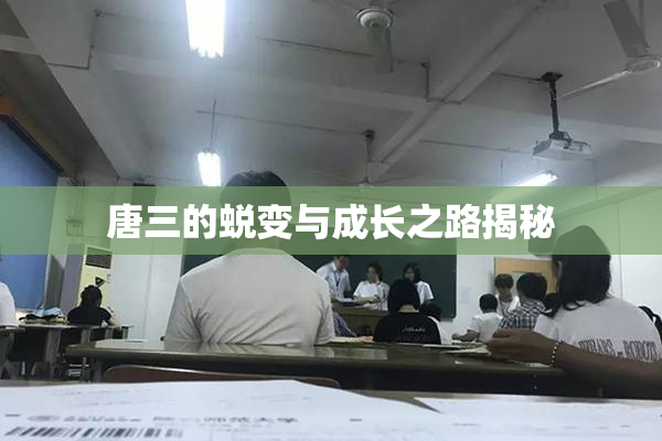 唐三的蜕变与成长之路揭秘