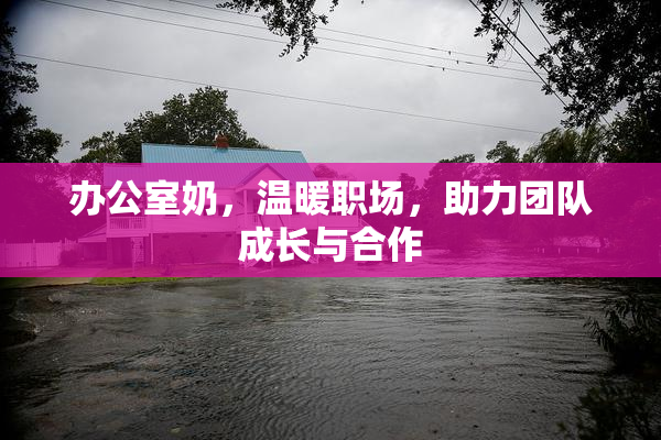 办公室奶，温暖职场，助力团队成长与合作
