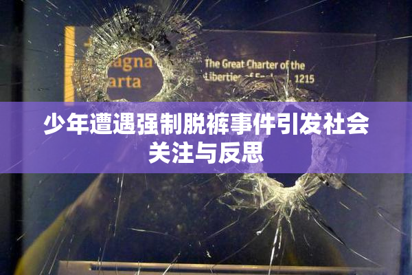 少年遭遇强制脱裤事件引发社会关注与反思