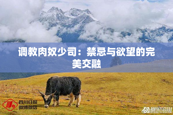 调教肉奴少司：禁忌与欲望的完美交融