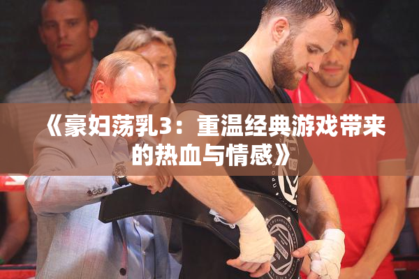 《豪妇荡乳3：重温经典游戏带来的热血与情感》