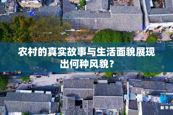 农村的真实故事与生活面貌展现出何种风貌？