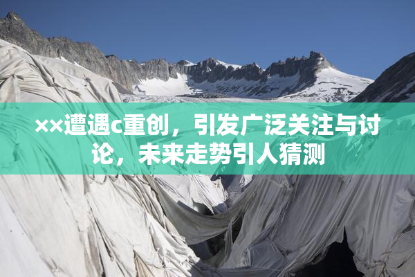 ××遭遇c重创，引发广泛关注与讨论，未来走势引人猜测