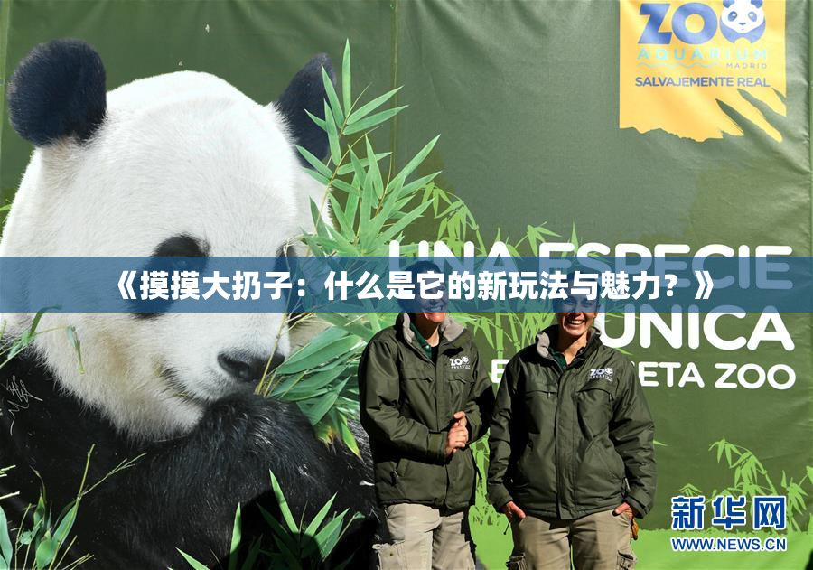 《摸摸大扔子：什么是它的新玩法与魅力？》