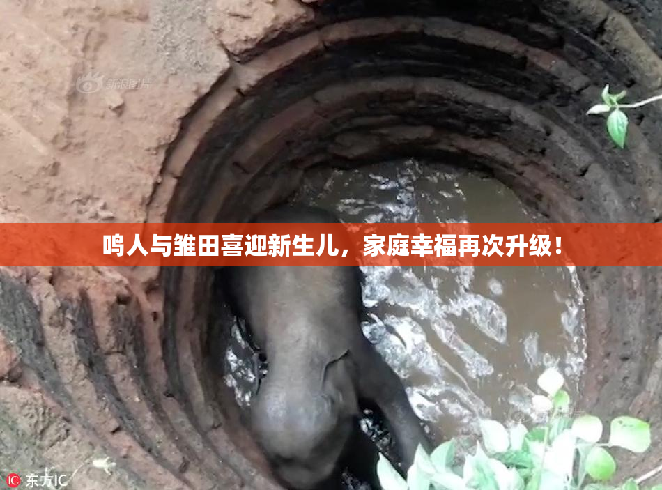 鸣人与雏田喜迎新生儿，家庭幸福再次升级！