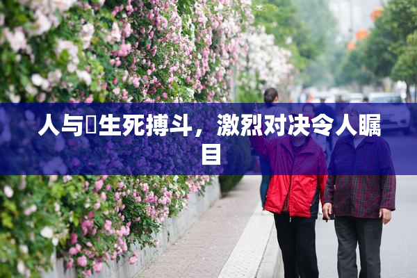 人与嘼生死搏斗，激烈对决令人瞩目