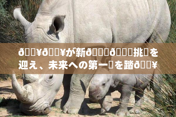 🔥🔥が新👅🍑挑戦を迎え、未来への第一歩を踏🔥出す
