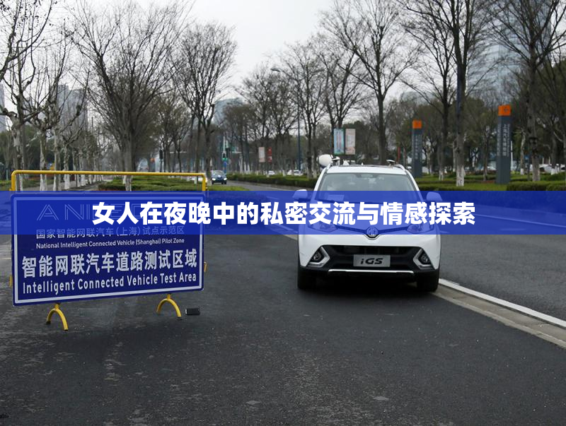 女人在夜晚中的私密交流与情感探索