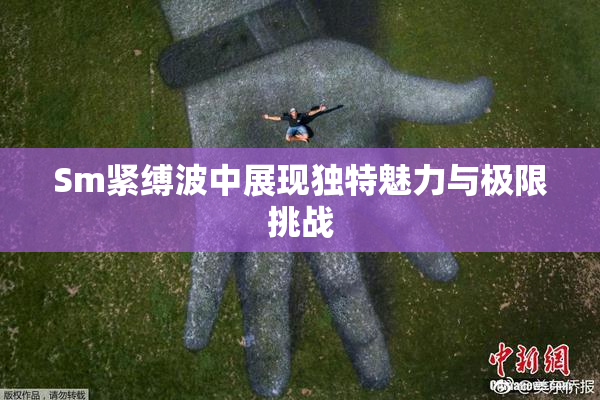 Sm紧缚波中展现独特魅力与极限挑战