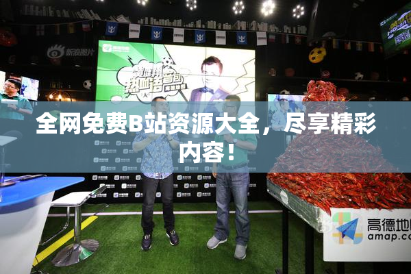 全网免费B站资源大全，尽享精彩内容！