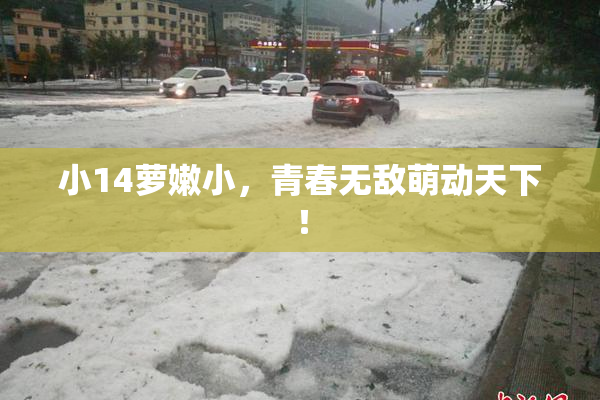 小14萝嫩小，青春无敌萌动天下！