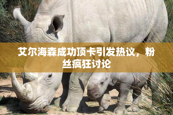 艾尔海森成功顶卡引发热议，粉丝疯狂讨论