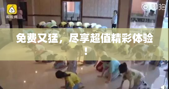 免费又猛，尽享超值精彩体验！