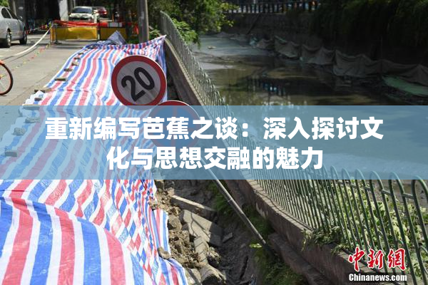 重新编写芭蕉之谈：深入探讨文化与思想交融的魅力