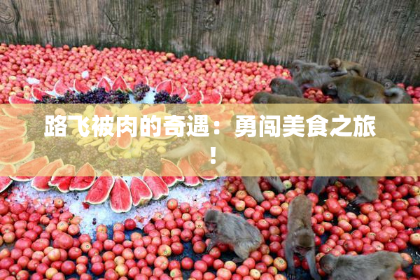 路飞被肉的奇遇：勇闯美食之旅！