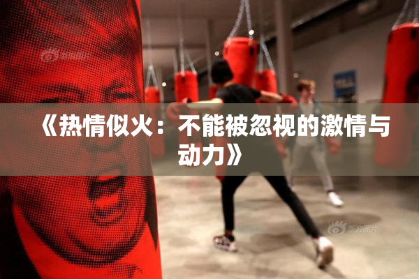 《热情似火：不能被忽视的激情与动力》