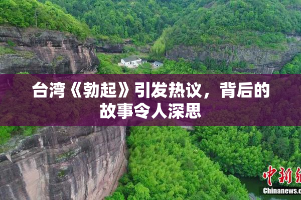 台湾《勃起》引发热议，背后的故事令人深思